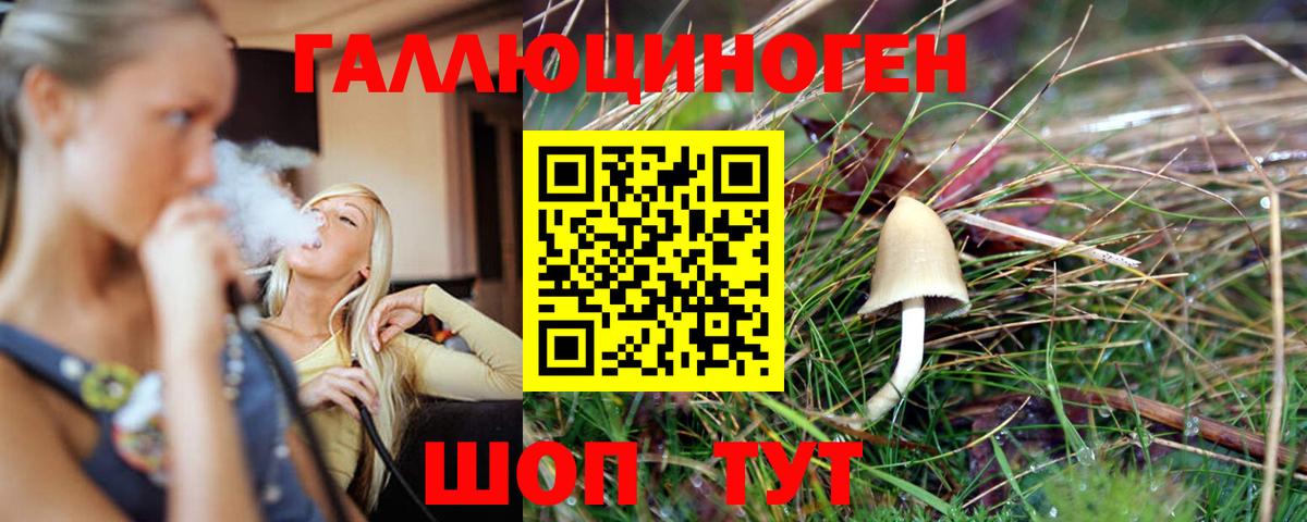 Галлюциногенные грибы прущие грибы  Вход с VPN  Богородицк 